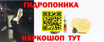 амф Аргун