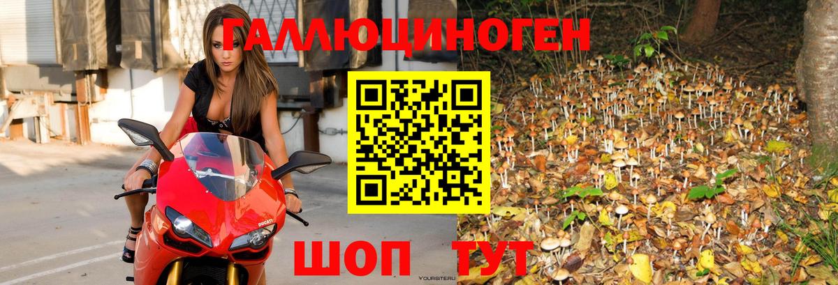Богородицк  Псилоцибиновые грибы Magic Shrooms  Вход с VPN  Галлюциногенные грибы прущие грибы 
