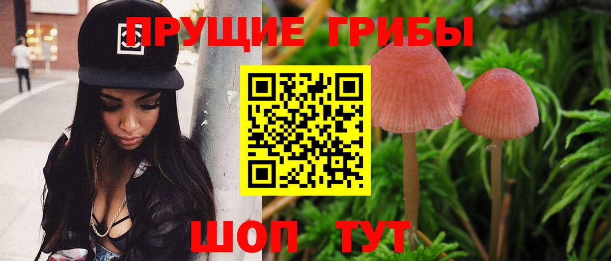 Галлюциногенные грибы мухоморы Богородицк